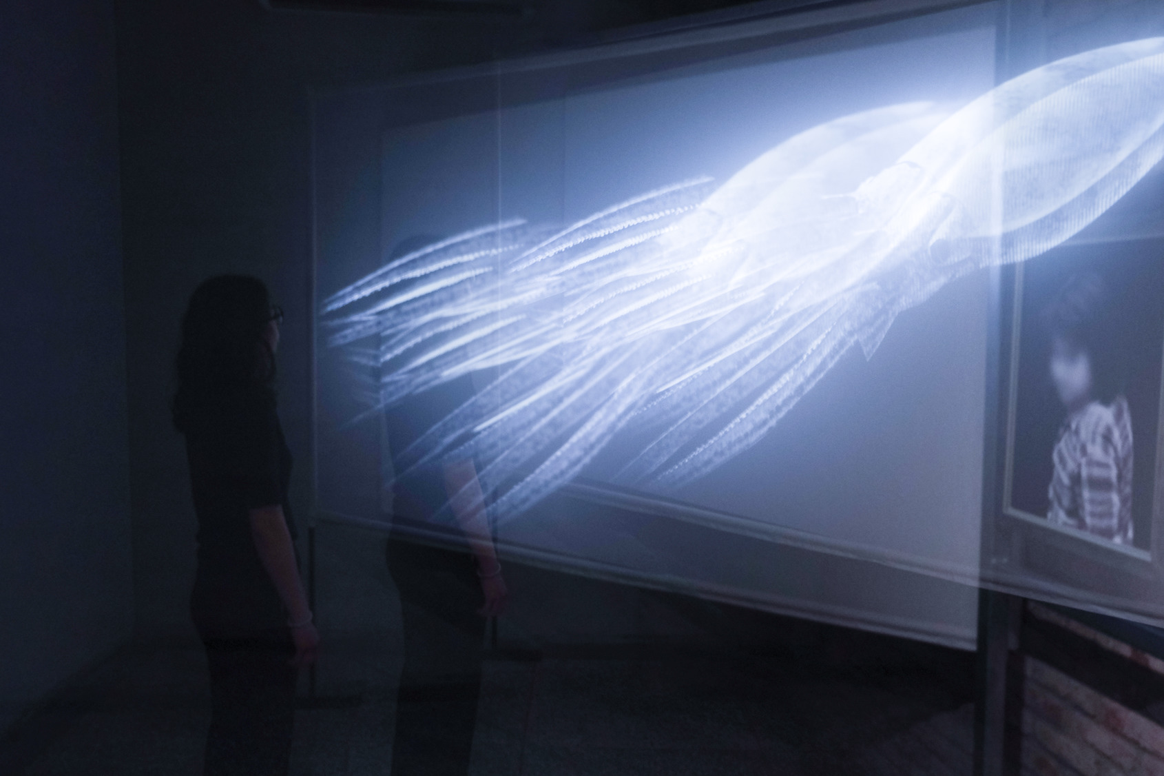 2024 Video Sandbox II-VII：Ghosts of Google, photo at ALIEN Art Centre © ALIEN Art 