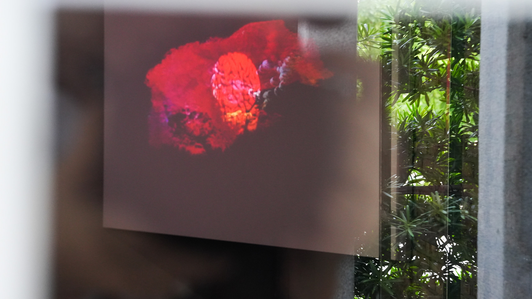 2025 Video Sandbox III-I：Death as the Only Eternal Life, photo at ALIEN Art Centre, courtesy of the artist. © ALIEN Art 