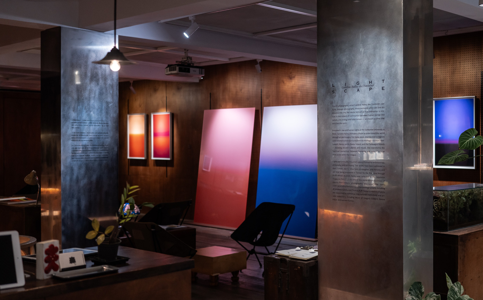 《光之境》展場照｜館外延伸計畫：森³ sunsun-museum｜© ALIEN MODE 