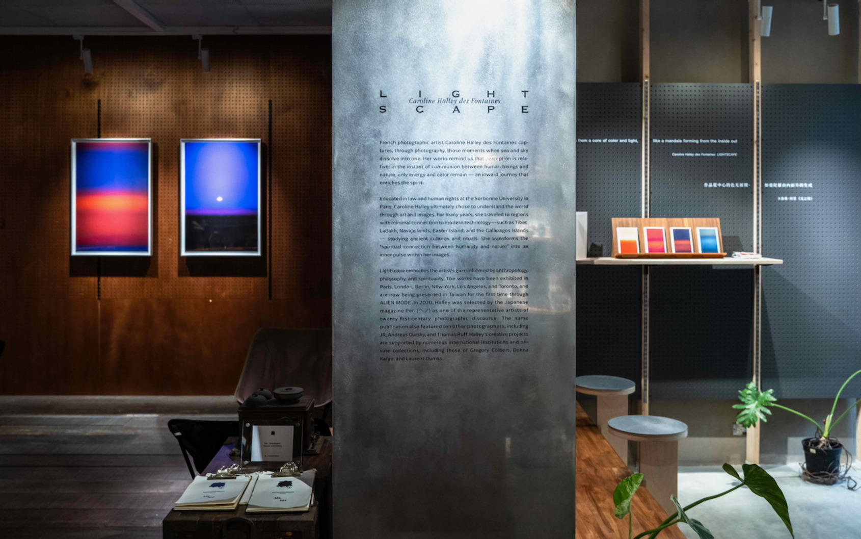 《光之境》展場照｜館外延伸計畫：森³ sunsun-museum｜© ALIEN MODE 