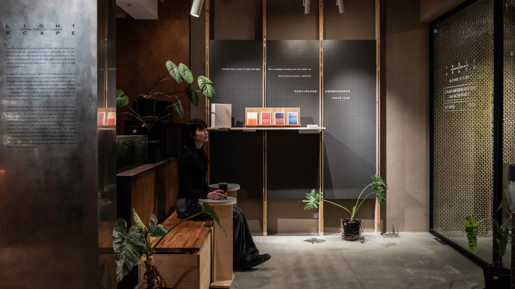 Lightscape, 2025-2026, Location: sunsun-museum © ALIEN MODE 