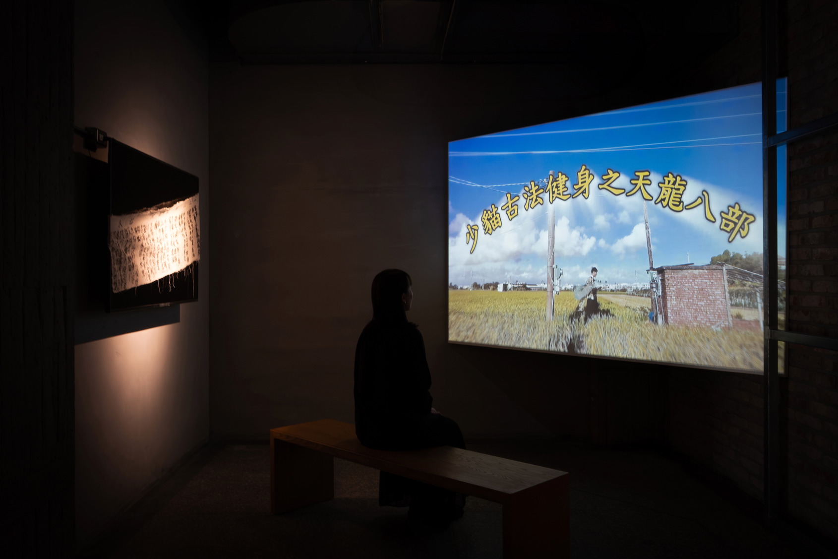 2025 Video Sandbox III-IV：The Eight Muscle Clans of Master ShaoMao, photo at ALIEN Art Centre, courtesy of the artist. © ALIEN Art 