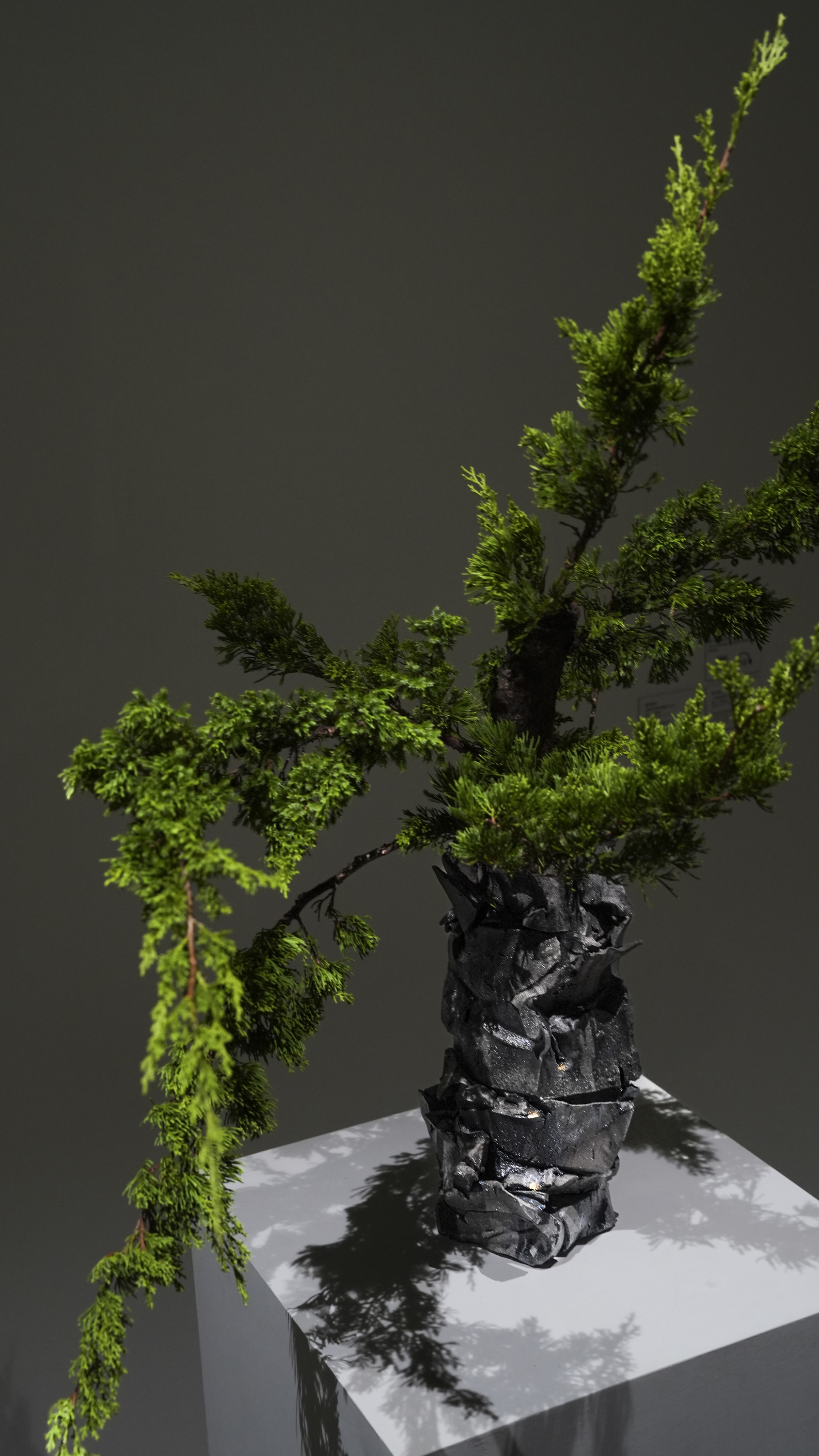 Dust and Gold｜Installation View｜ALIEN Art Centre, 1F｜© ALIEN Art Centre 