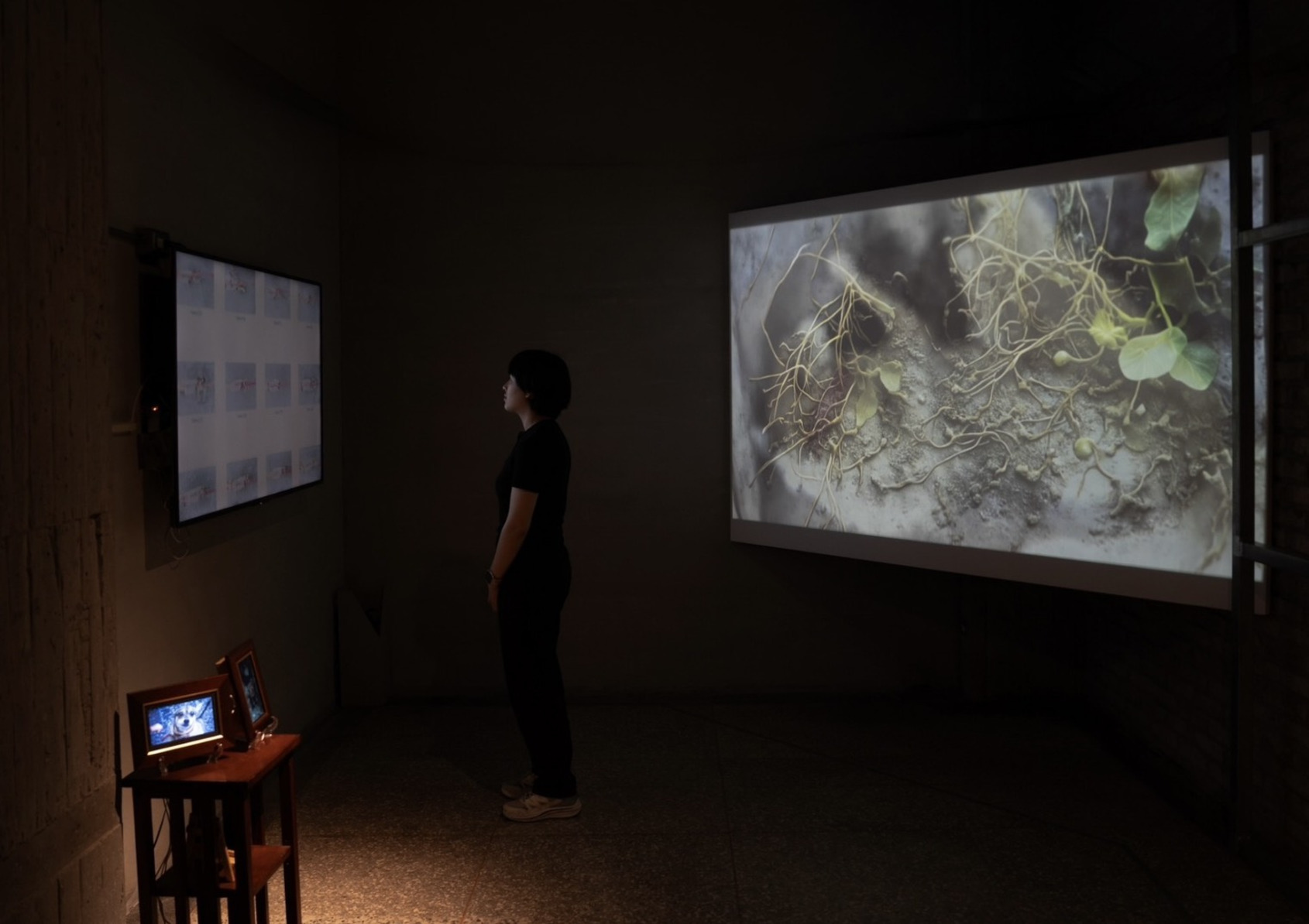 2025影像沙盒III-Ⅶ｜《重組的回憶 ─ 重生》展場照｜金馬賓館當代美術館 1F｜© ALIEN Art Centre 