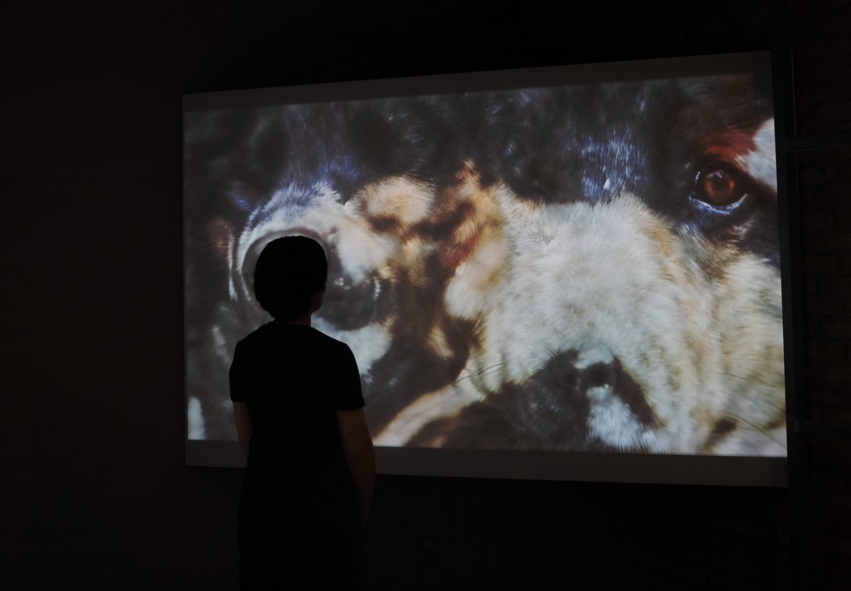 2025 Video Sandbox III-Ⅶ：Reassembled Memories: Reborn, photo at ALIEN Art Centre, courtesy of the artist. © ALIEN Art Centre 