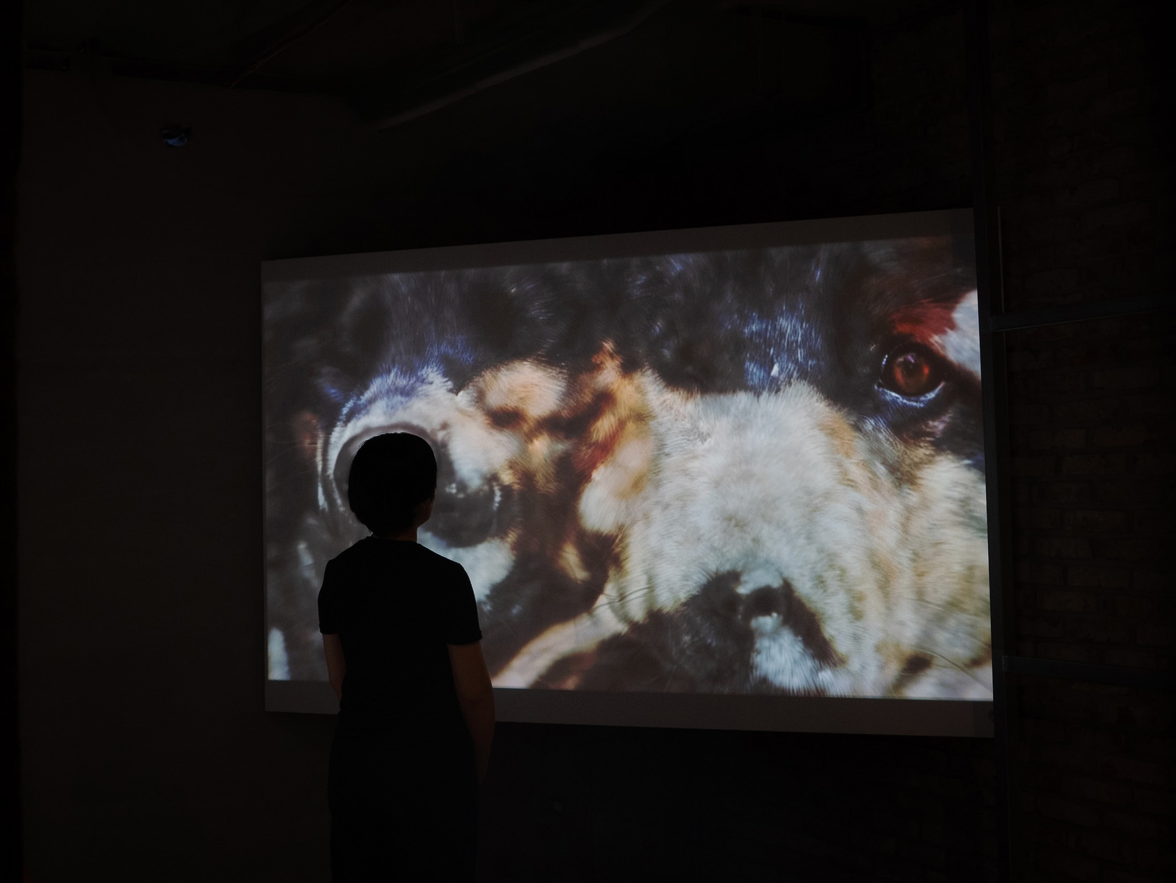  2025影像沙盒III-Ⅶ｜《重組的回憶 ─ 重生》展場照｜金馬賓館當代美術館 1F｜© ALIEN Art Centre